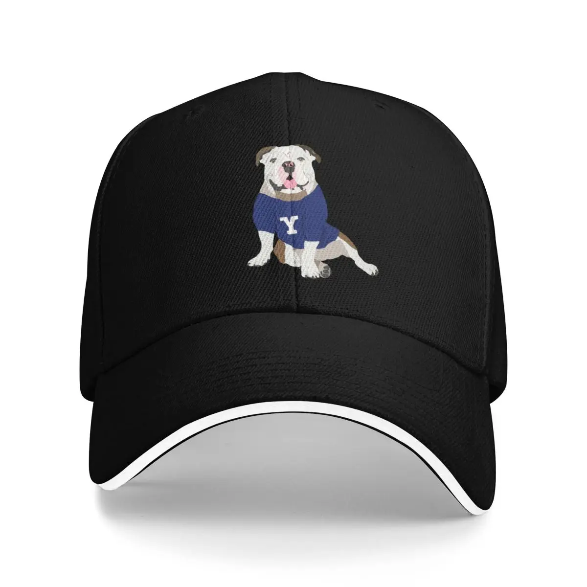 

Yale Bulldog: Красивая бейсболка Dan, шляпа от солнца, дропшиппинг, козырек для женщин и мужчин
