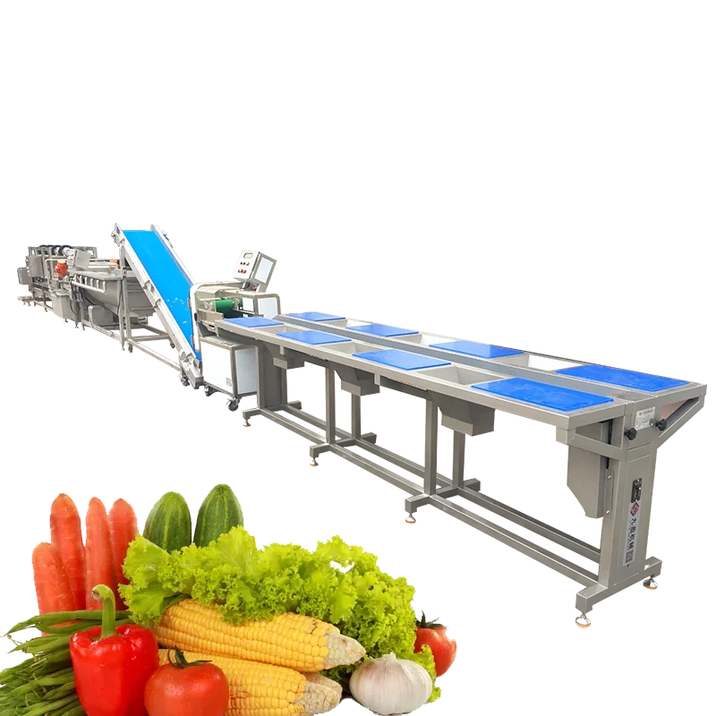 FOODLINE Fully Automatic Prefabricated Vegetable Production Line Washing Blanching Filling Machine For Ready To Eat Meal Factory