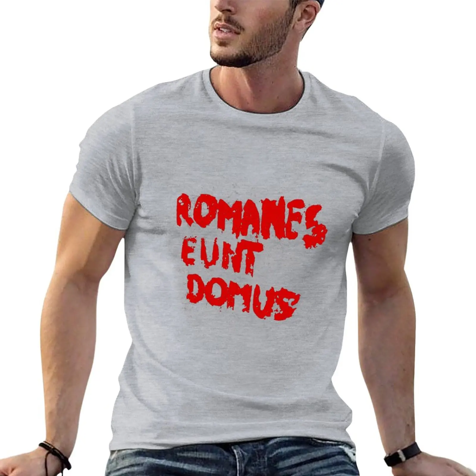 Romanes eunt domus T-Shirt blacks plus sizes mens graphic t-shirts big and tall