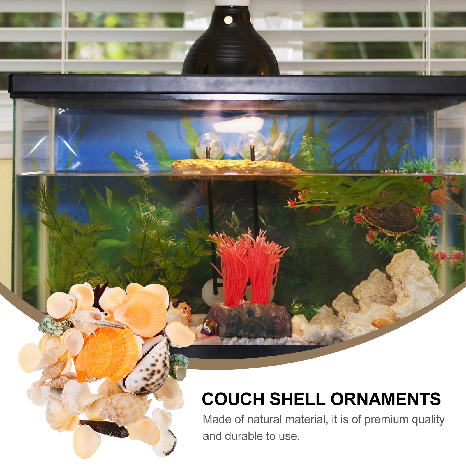 

1Set Shell Decorative Ornaments Natural Fish Tank Landscaping Decor for Aquarium Ocean Sea Conch Adorn Desktop Decoration