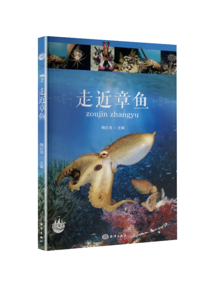 Book-Winshare Approaching the Octopus