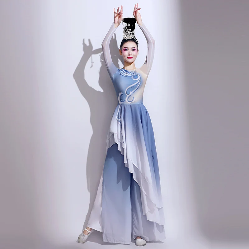 Ripples If Water Dance Clothing Women's Water Sleeve Performance Costume Classical Dance Caiwei Dance Costume