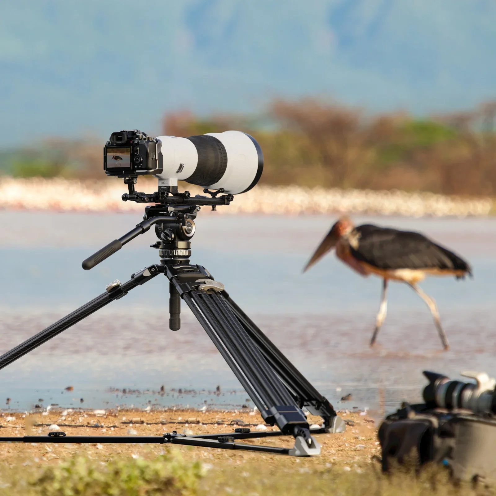 مجموعة دعم عدسات التصوير الفوتوغرافي Smallrig Wildlife متوافقة مع عدسات المقربة الشهيرة لثبات كاميرات Sony Canon Nikon