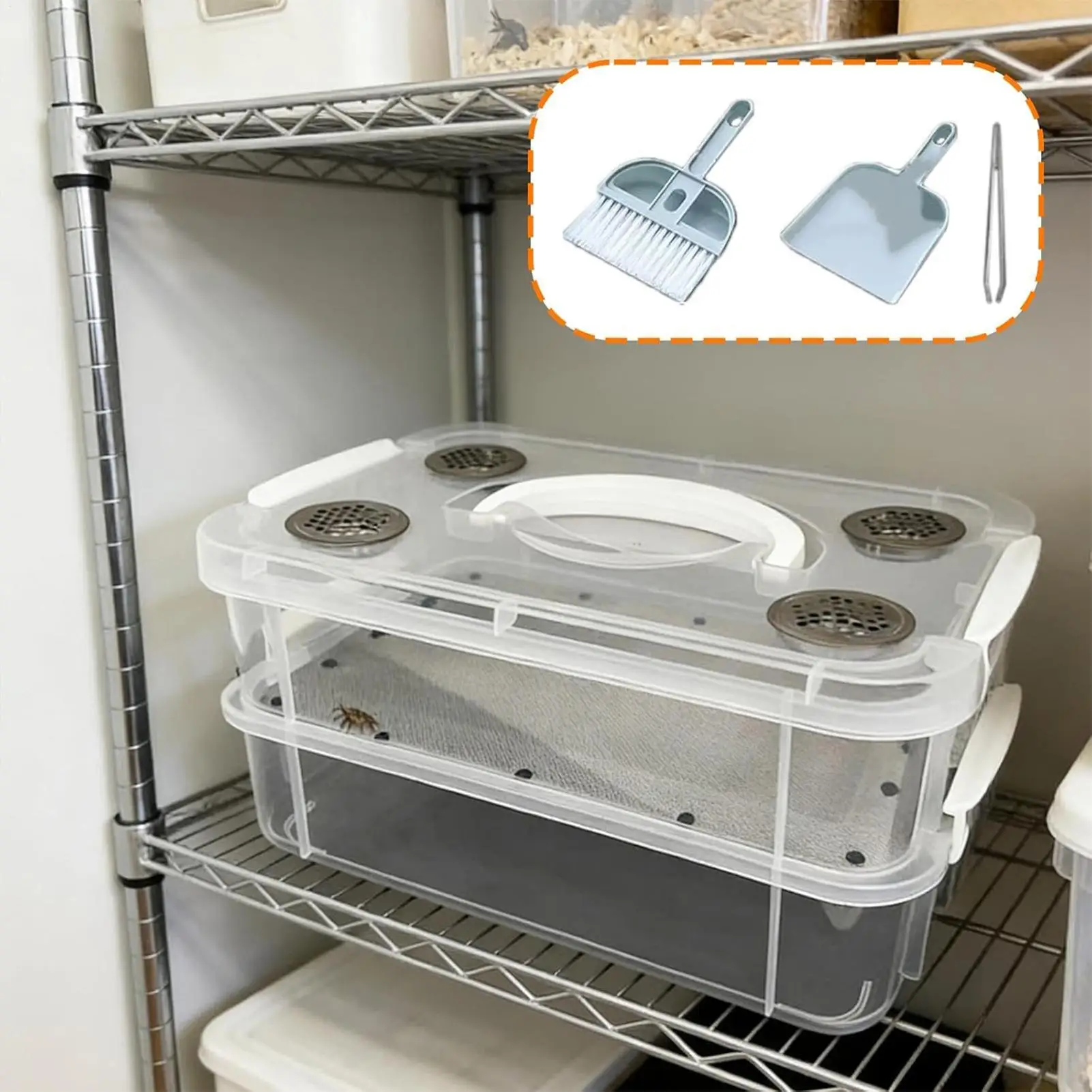 Kit de Cría de Gusanos de la Harina Transparente de Alta Capacidad, Granja de Gusanos de la Harina para Cría de Gusanos de la Harina Vivos para Dragones Barbudos y Reptiles, Portátil