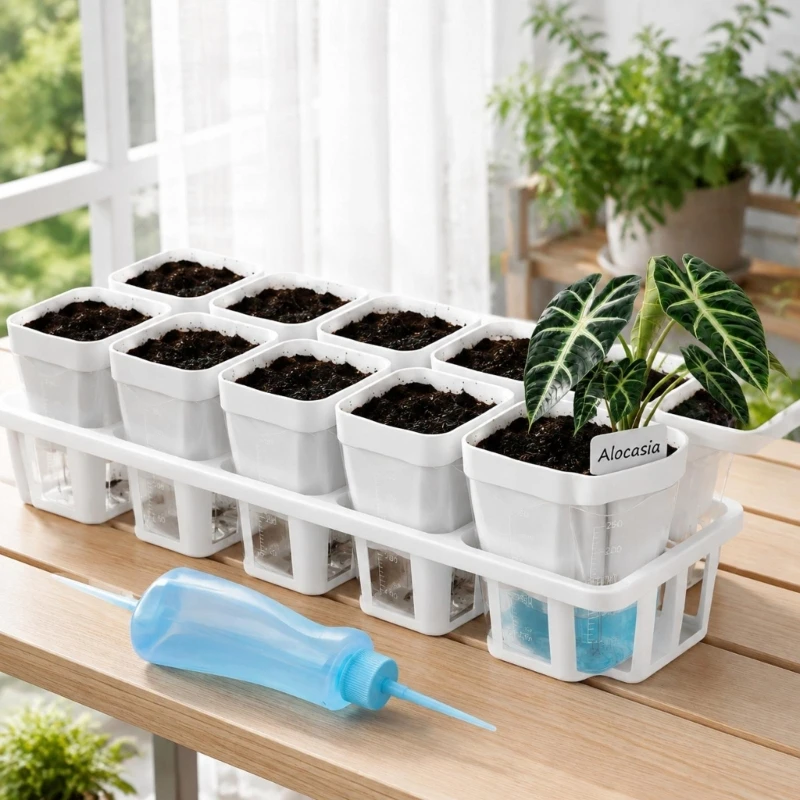 Wicking Propagation Pots for Windowsill and Tabletop Growing JOMD