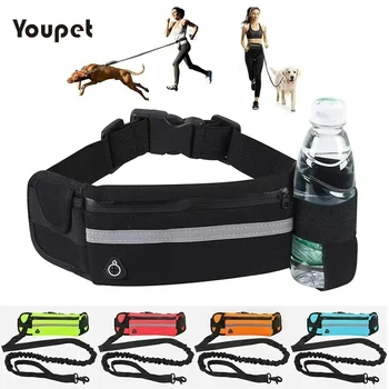 Runner's Belt for Dog Leash 1