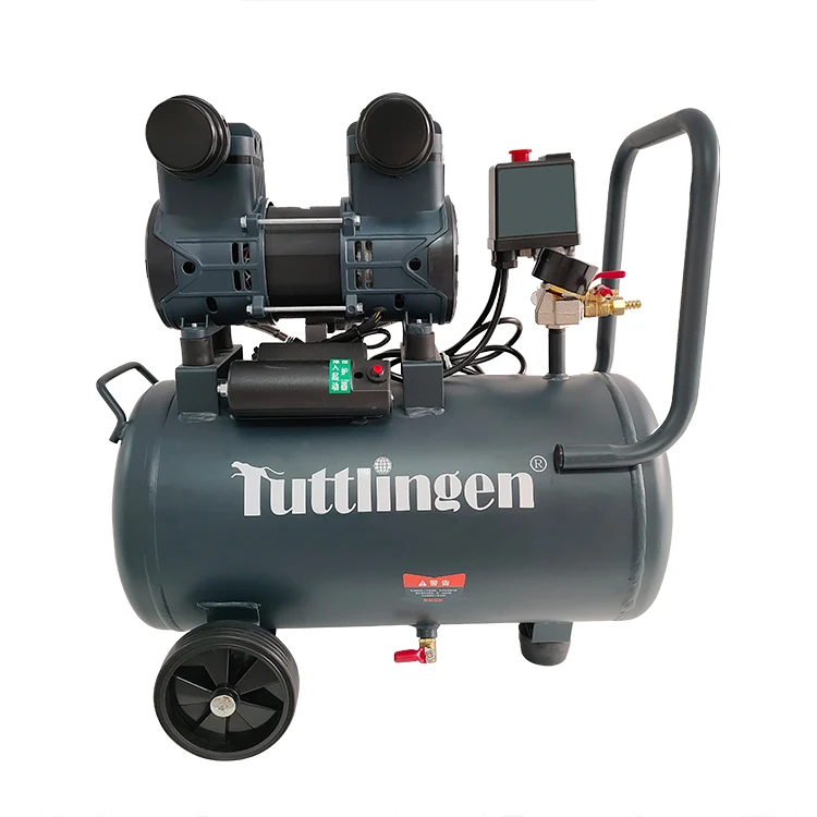 

RP-30L Air Compressor Oil-free Industrial and Medical Air Compressor Silent Oilless Air Compressor 220v