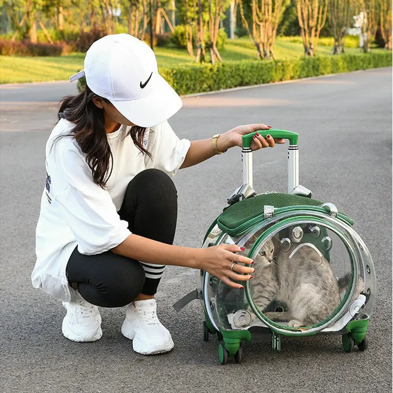 

Small Suitcase Transparent Backpack Cat Outdoor Bag Breathable Dog Pet Box Space Capsule pet bag