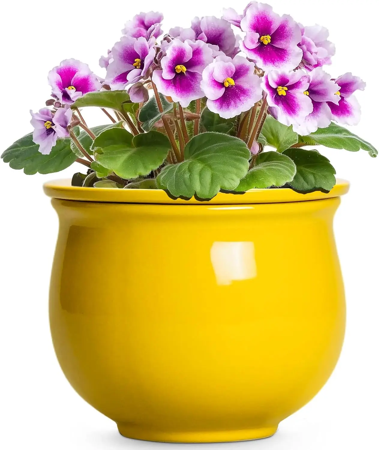 

Ceramic Self Watering Planters, 6 Inch African Violet Pots for Indoor Outdoor Plants, Ceramic Plant Pot with Absorbent I
