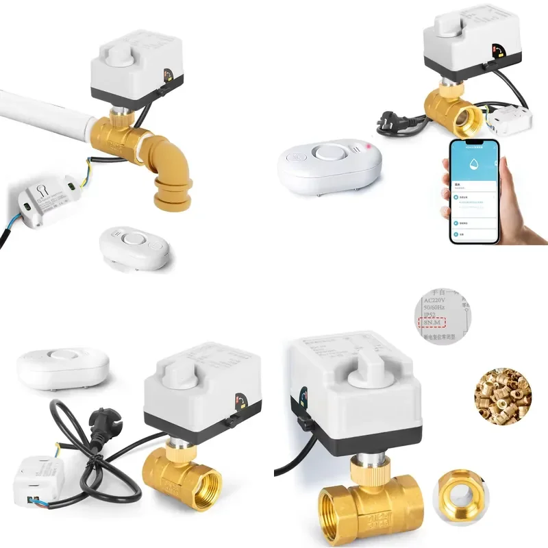DN40 Smart WiFi Water Flood Detection Electric Ball Valve OEM Mobile Phone Remote Alarm Shut-off for Pipeline System