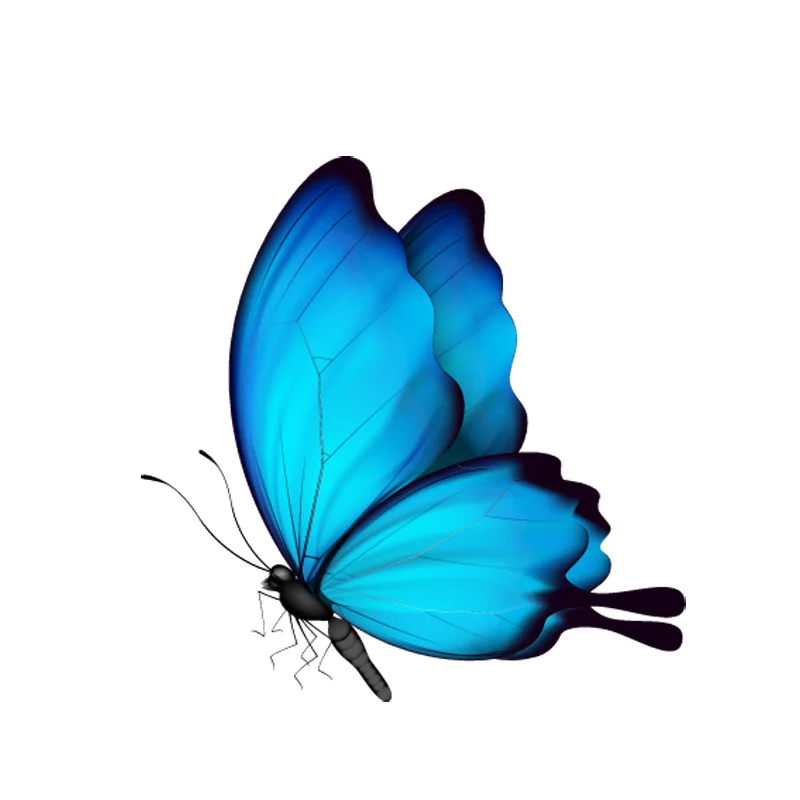 RuleMyLife  10CM*10M Cute Decorative Butterfly Decal PVC Motorcycle Car Sticker 11-00652