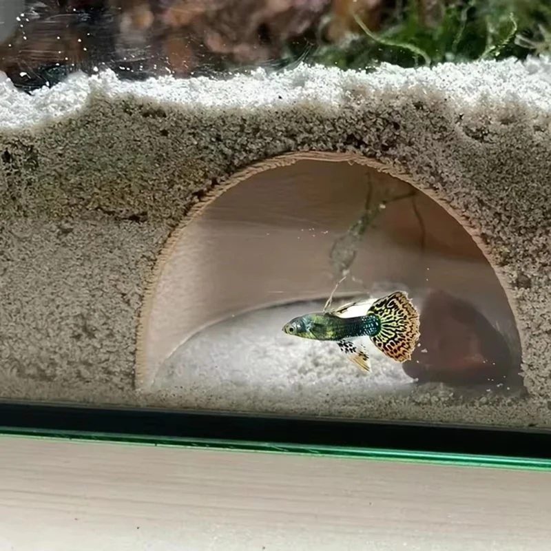 エビ飼育プロテクター洞窟水族館トンネル遊びと休息水槽クリエイティブ風景装飾品