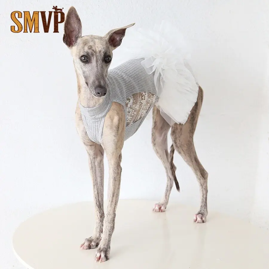 

Spring and Summer Cotton Stretchy Knitted Fabric Panelled Mesh Puffy Dress Ballet Princess Style Suitable for Slender Pet Dogs