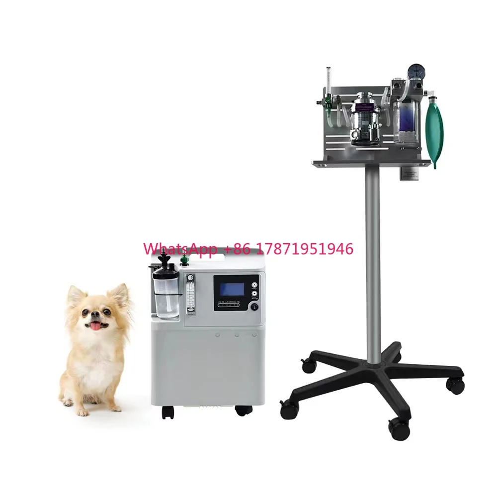 Vet ICU Used High Quality Low Price Animal oxygen therapy machine Veterinary hospital medical oxygen device