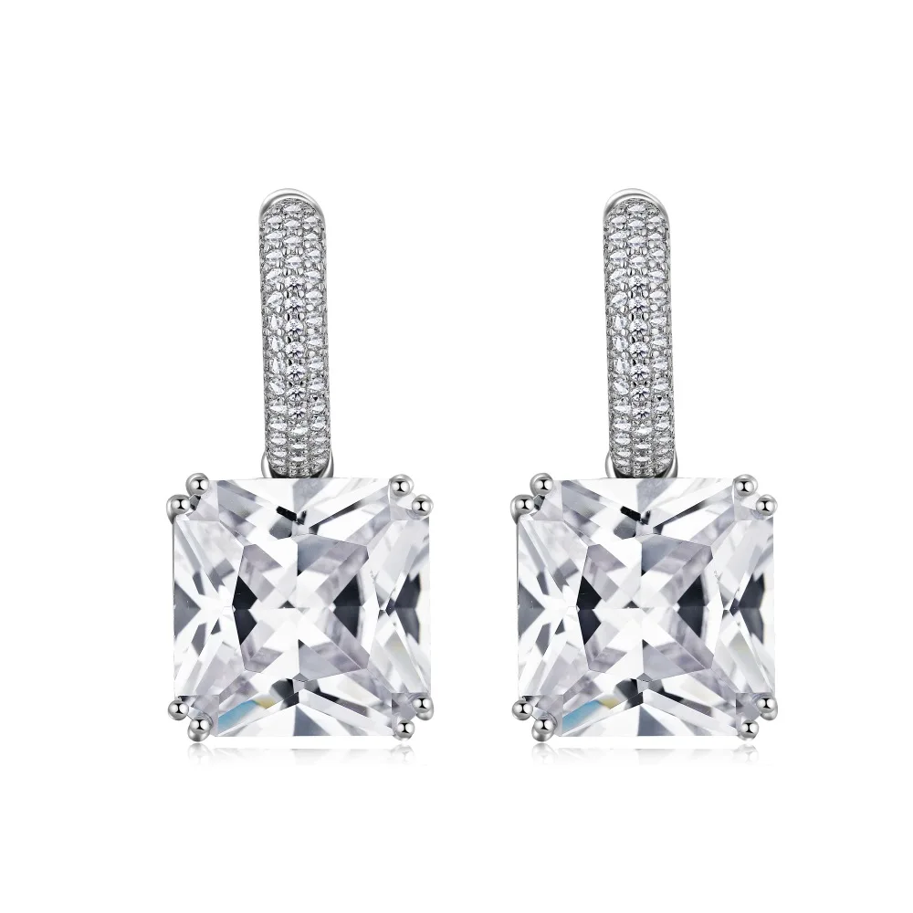 

New S925 Silver Earrings, Stylish and Stylish Women's Large Zircon Earrings and Earrings