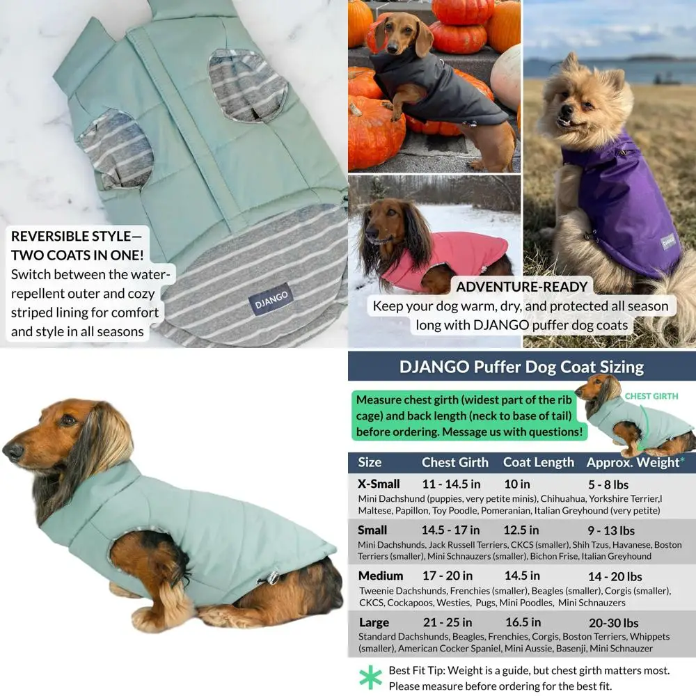 Chaleco acolchado resistente al agua con forro a rayas para perros pequeños a medianos, ajuste ajustable, verde espuma marina, tamaño mediano
