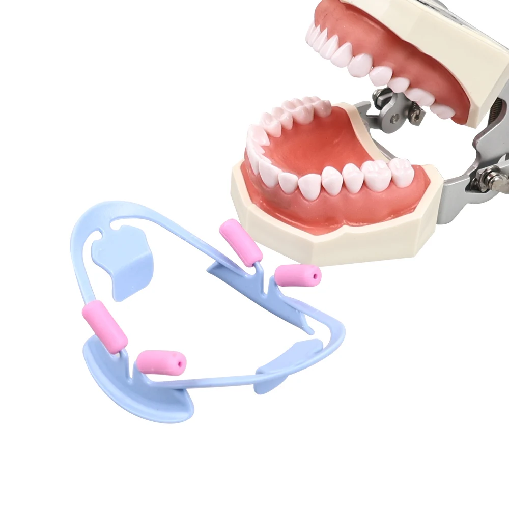 Ouvre-bouche dentaire 3D pour dentiste, outil orthodontique professionnel, grand et petit écarteur Chev, accessoire de dentiste, matériaux de dentisterie