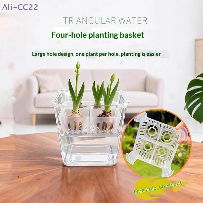 {MX} 4-Loch Hydroponische Behälter mit Atmungsaktivem Stützkorb Tulpen-Saatgut Hydroponischer Blumentopf ohne Erde Heimdekoration