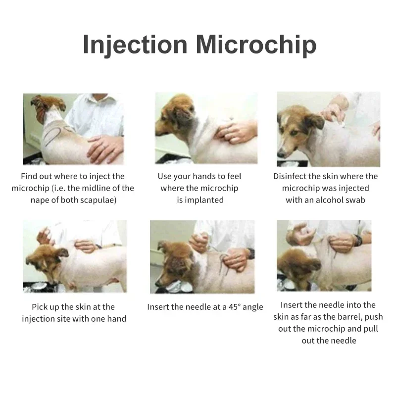 Jeringa piezas para identificación de mascotas, Chip ISO11784/85 FDX-B, inyección RFID, Microchip para perros y gatos, 10 unidades