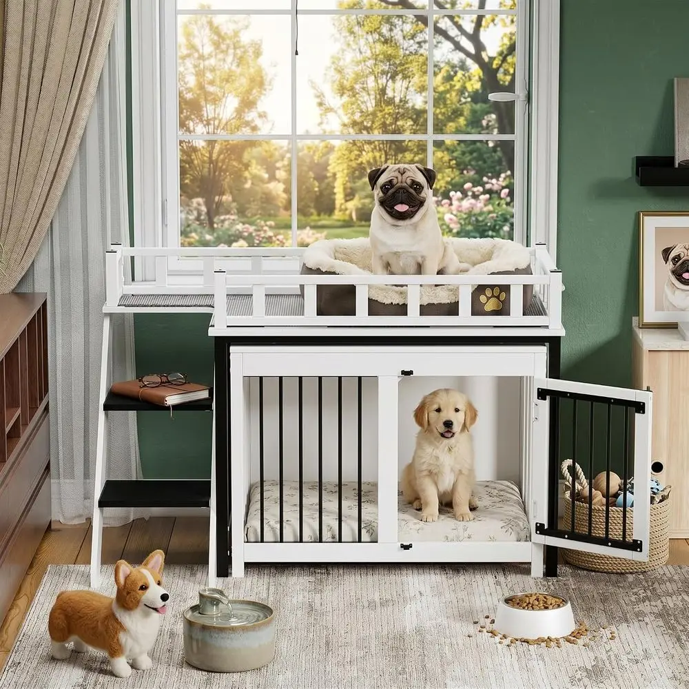 #15 Dog Crates Comparison Guide