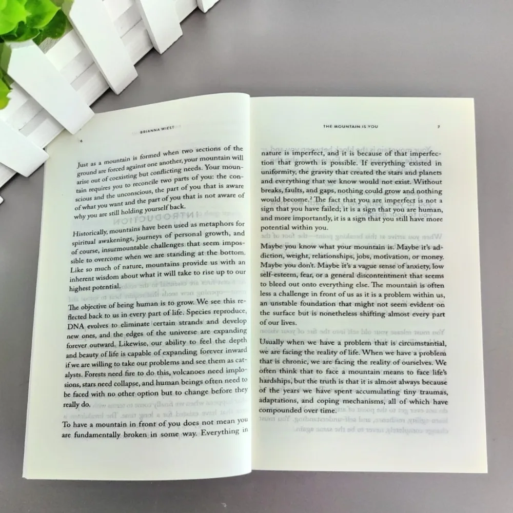The Mountain Is You: Transforming Self-Sabotage Into Self-mastery English Books Birthday Gifts