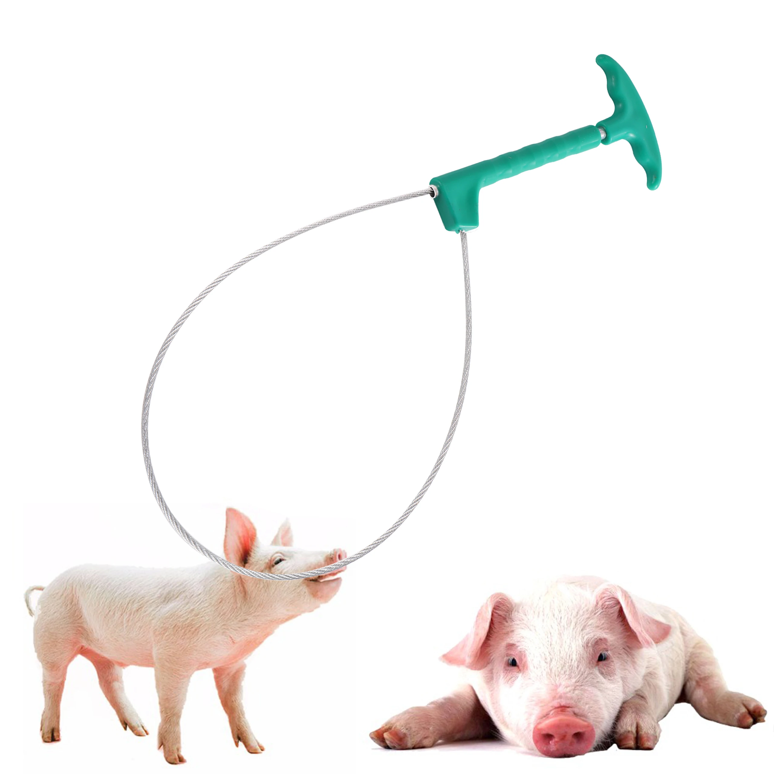 1 Pcs Pig Baoding Set Pig Fixed Rope Wire Ropes Sleeve Stockbreeding Tool Domestic Animal Mouth Set Veterinary Equipment