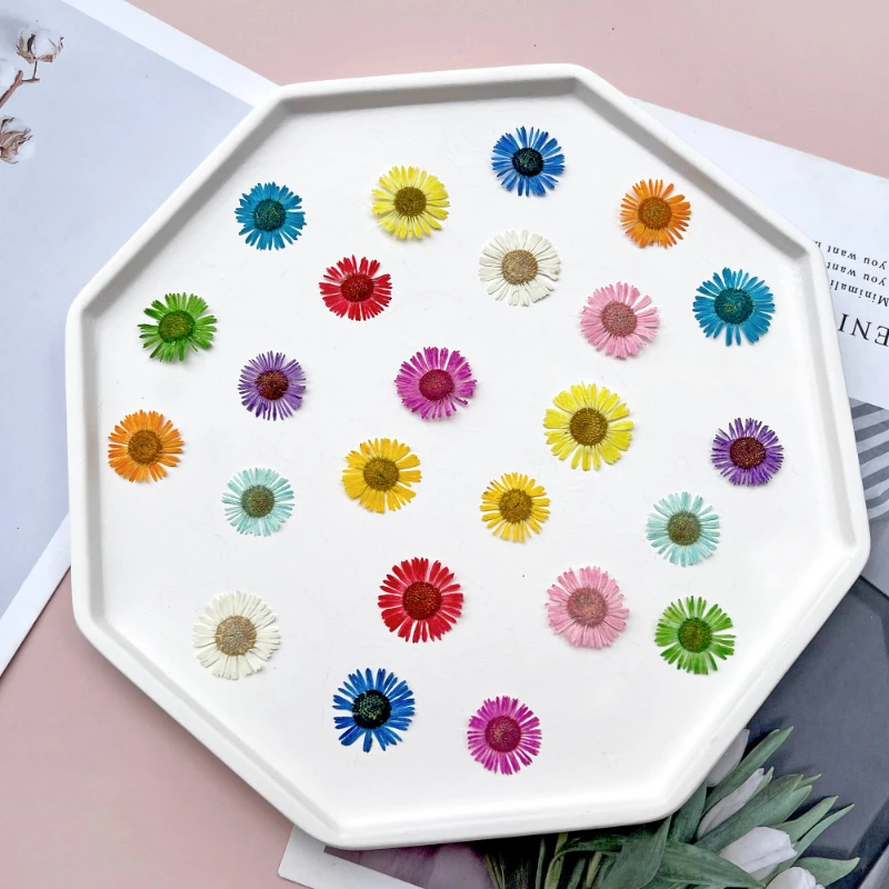 120PCS/1.5-2cm,Natural needle Chrysanthemum petals,Pressed flower DIY dripping glue mobile shell bookmark photo frame material