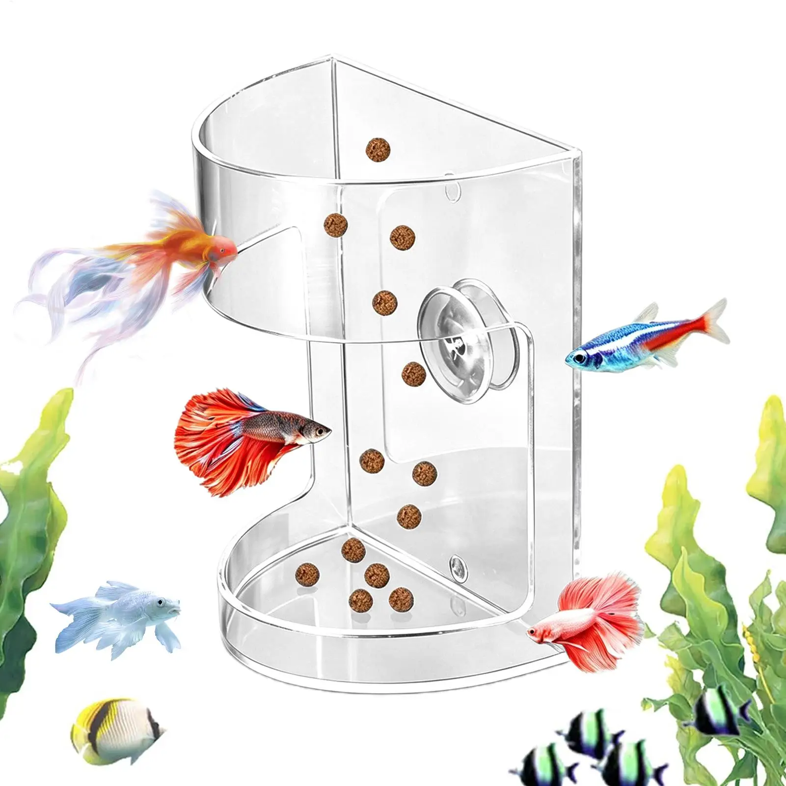 Acrylic Aquarium Feeders Ring Transparent Suction Cup Fish Tank Food Dispenser Floating Fixed-Point Fish Feeder Tray