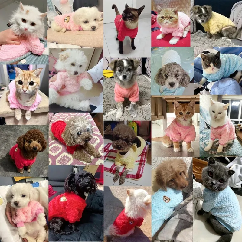 Fashion Dog Hoodies Plush Dog Pullovers Cute Soft Puppy Clothes Warm Cat Hoodies Pet Sweatshirts Chihuahua Costumes Dog Clothes