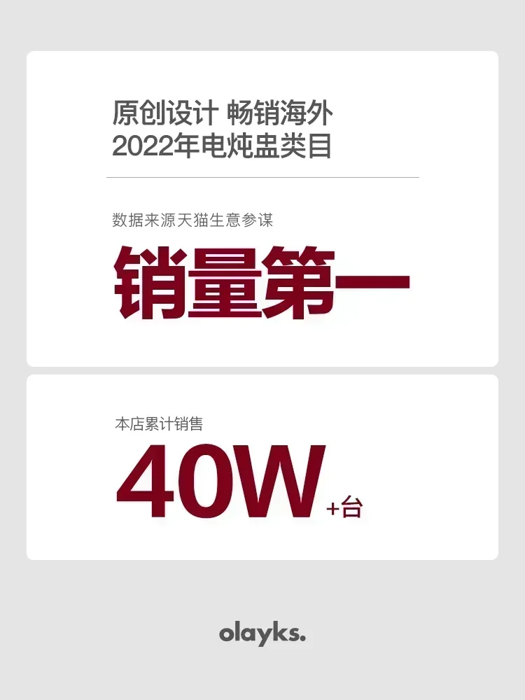 Olayks original design electric stew pot baby food supplement pot bird's nest porridge small stew pot water-proof stew home