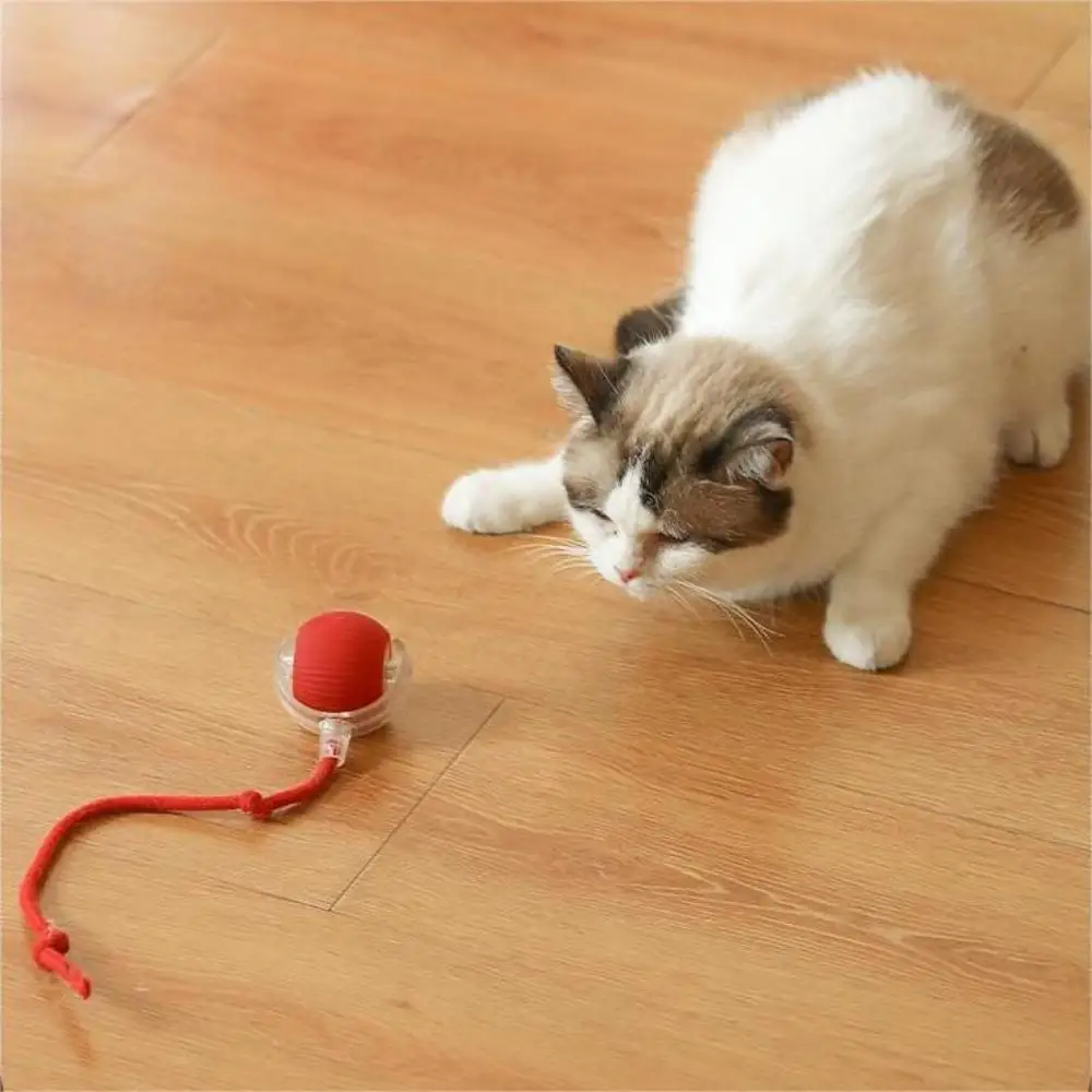 Smart Dog Ball Toys USB Charging Electronic Interactive Automatic Rolling Balls for Dog Cats Puppy Kitten Simulated Tail Toys