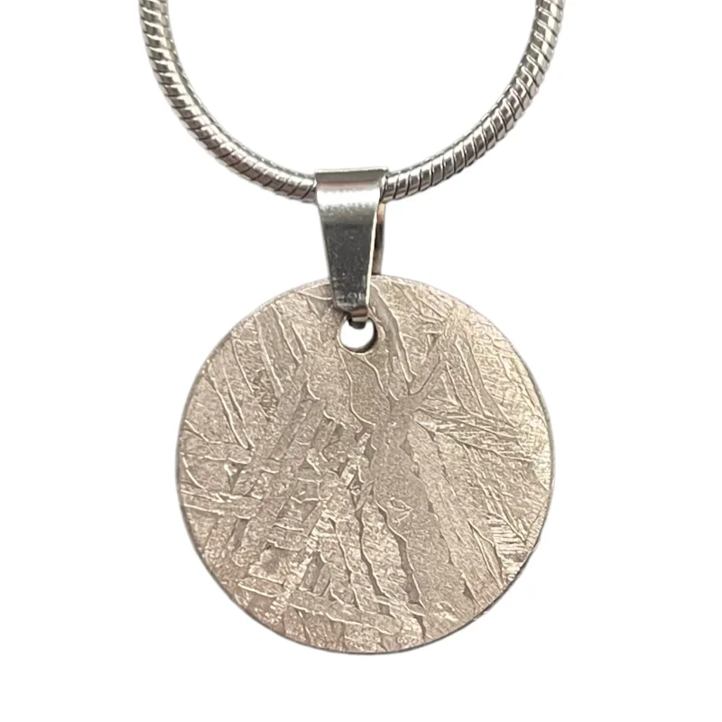 Natural Muonionalusta Meteorite Round Concave Pendant Nickel Plating Craft Pendant Necklace Collectible Ornament Gift LK579