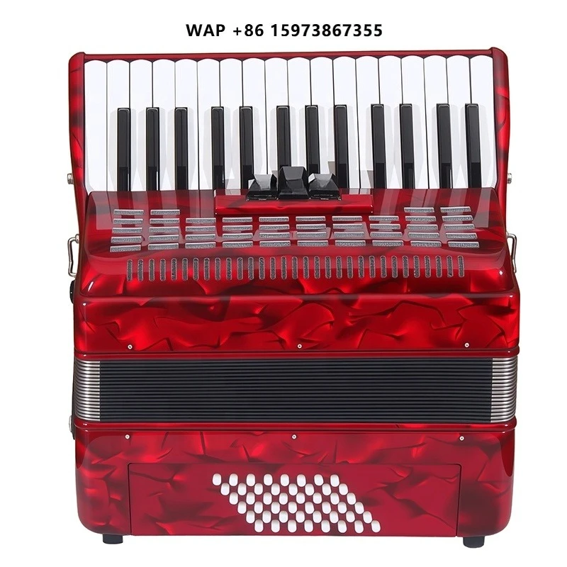 OEM High Quality Professional 30 Keys 48 Bass 3 Registers Red Blue Celluloid Wood Portable Piano Keyboard Accordion Chromatic