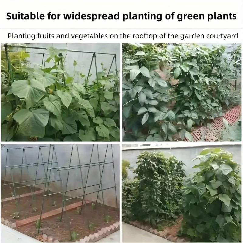 20-teilige Mehrzweck-Garten pfähle-dauerhafte Unterstützung für Gemüse, Reben und Trauben-perfekt für Tomaten, Gurken und mehr – Detail 5