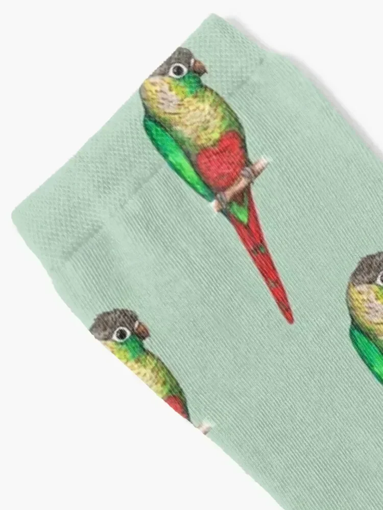 Conure with a heart on its belly Socks anime kawaii summer colored Socks Woman Men's