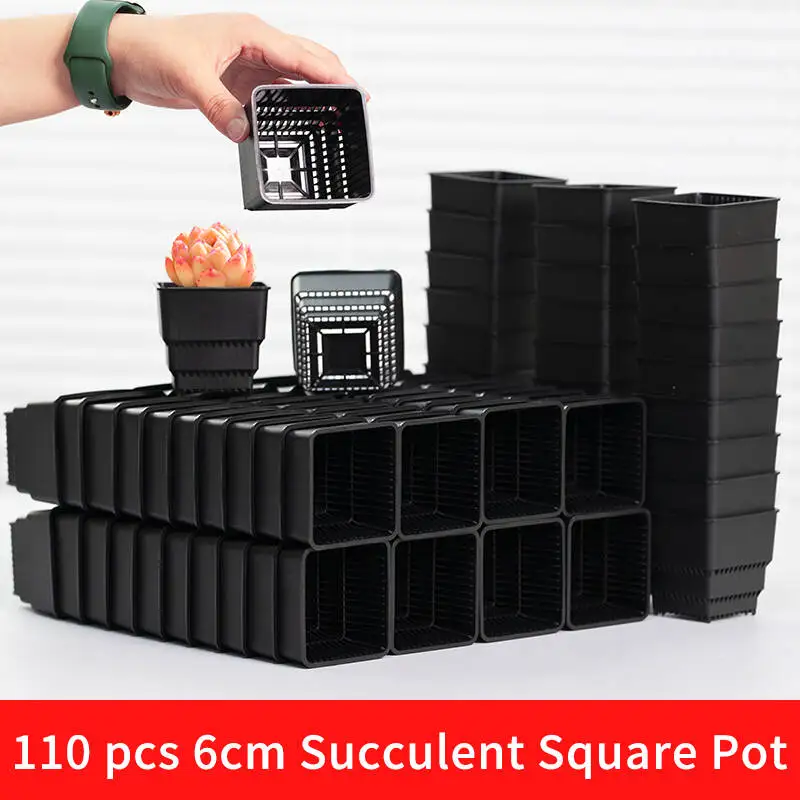 

Meshpot 110 pcs 6cm Succulent Square Pot with Air Holes Cactus Planter Plants Nursery Pots