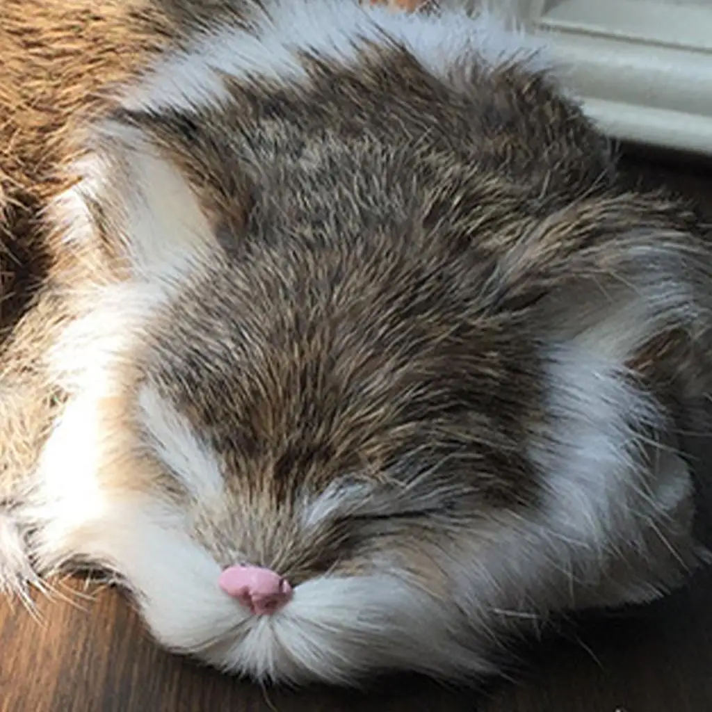 현실적인 고양이 귀여운 봉제 동물 입상 인형 장난감 크리스마스 장식품 선물