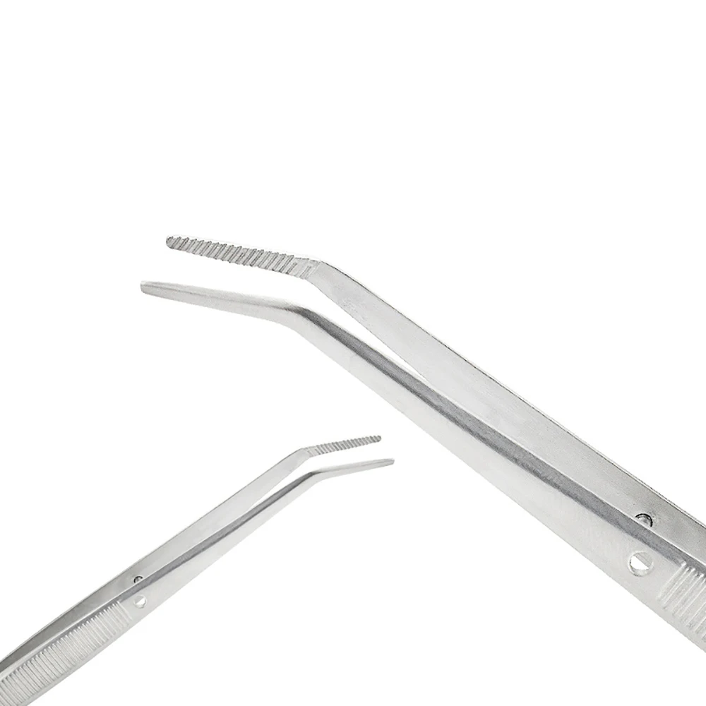10 or 20 Piece Stainless Steel Dental Cotton Tweezers for Filling Clips and Professional Medical Use