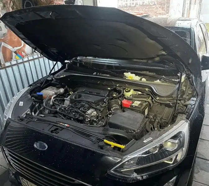 

2PCS Gas Struts For Ford Focus C519 2018-present Front Hood Bonnet Modify Lift Support Shock Damper Absorber Prop Rods