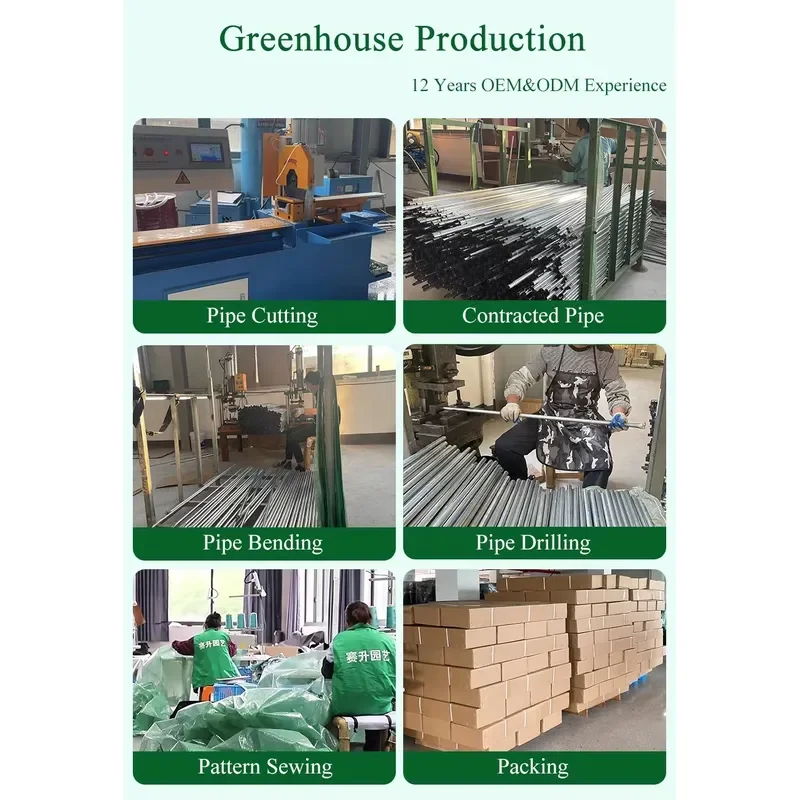 800x300x200 Winter Mini Walk-in Steel Frame Greenhouse with UV Resistant Film and Window Easily Assembled for Home Garden