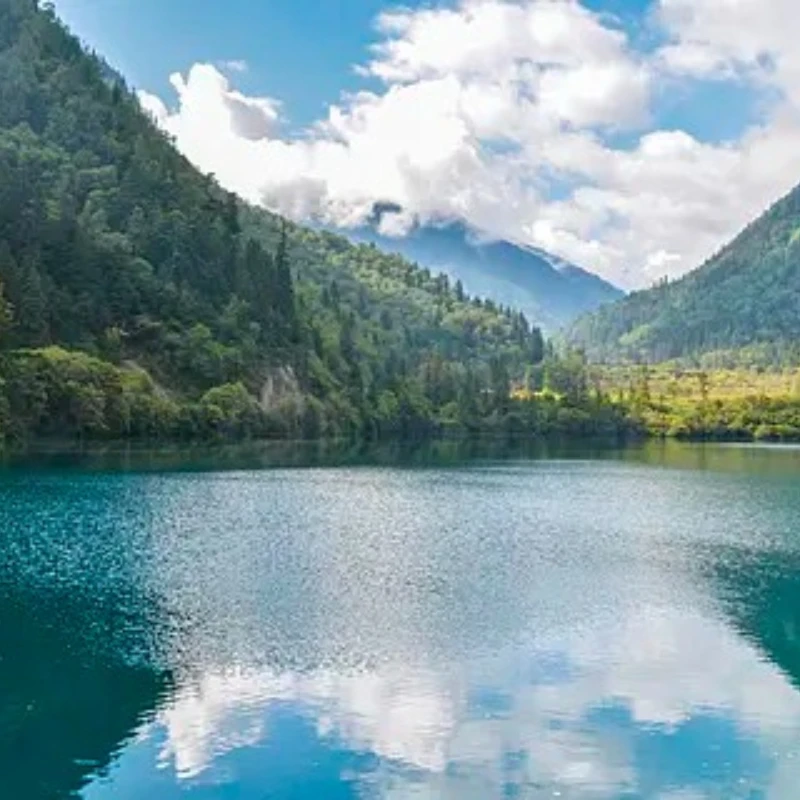 

VR009 FPV Goggles 5.8G 40CH 3 inch 480x320 Video Headset HD DVR Diversity FPV Goggles for Camera Drones & Accessories