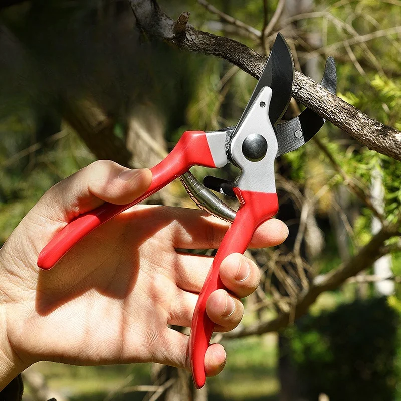 Stainless Steel Gardening Pruning Heavy-Duty Ergonomic for Effortless Plant Flower Tree Branch Floral Bonsai Plant Cutting