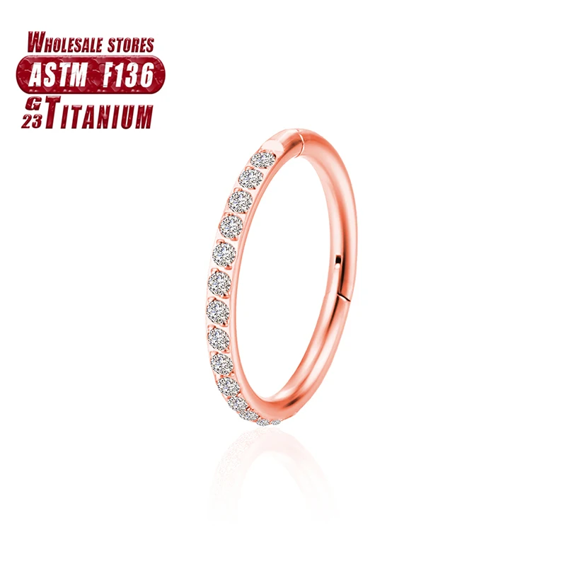 Women's Titanium ZC Nose Rings & Hinged Segment Earrings, Versatile
