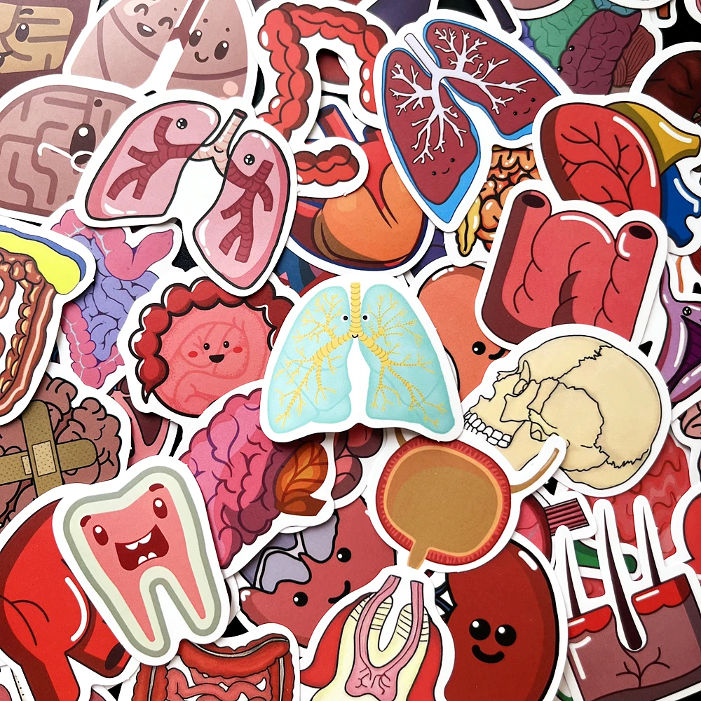 65Pcs Cartoon Body Organ Stickers, Waterproof Anatomy Decals for Kids, Water Bottles, Laptops, Luggage, Toys, Fun Learning Gift