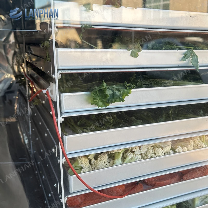 Henan Lanphan Home Pro 14 vassoi HFD-40 Macchina per liofilizzare frutta e verdura 60 kg