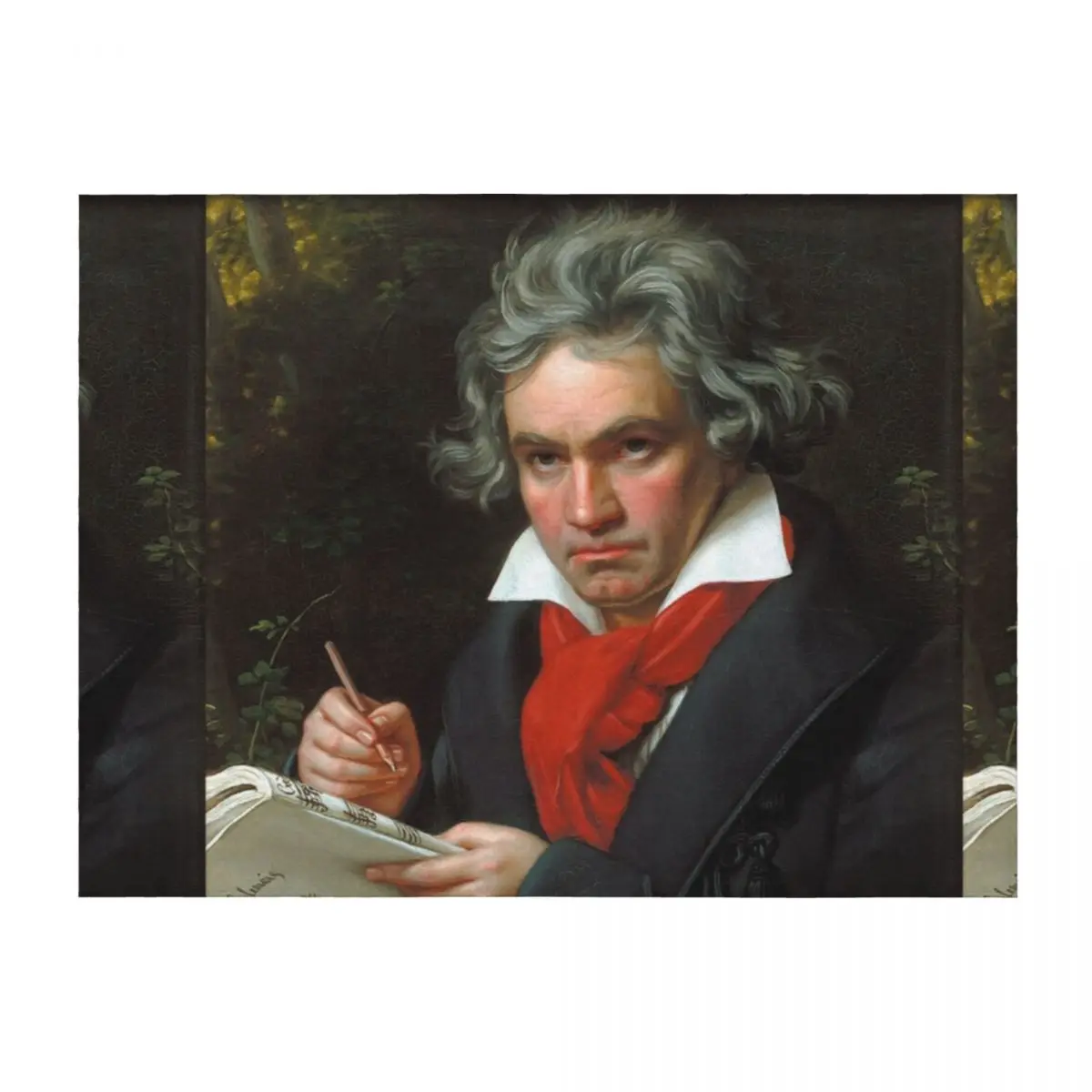 

Ludwig van Beethoven Throw Blanket Sofas Fashion Sofas Sofa Quilt Sofa Throw Blankets