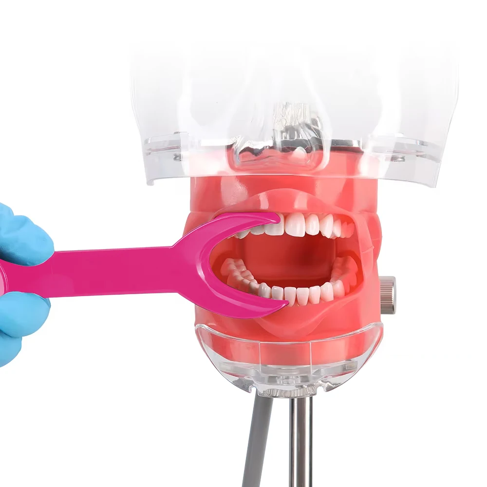 2PCS T-Shape Dental Double Head Cheek Mouth Lip Retractor L/S Intraoral Opener Mouth Expanders Dentistry Orthodontic Materials