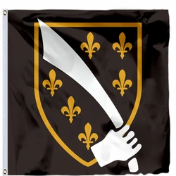 Bosnia Historic French Flag 2x2ft 120X120cm 4x4FT 21X21CM 90x90cm 100D Polyester Double Stitched High Quality Banner
