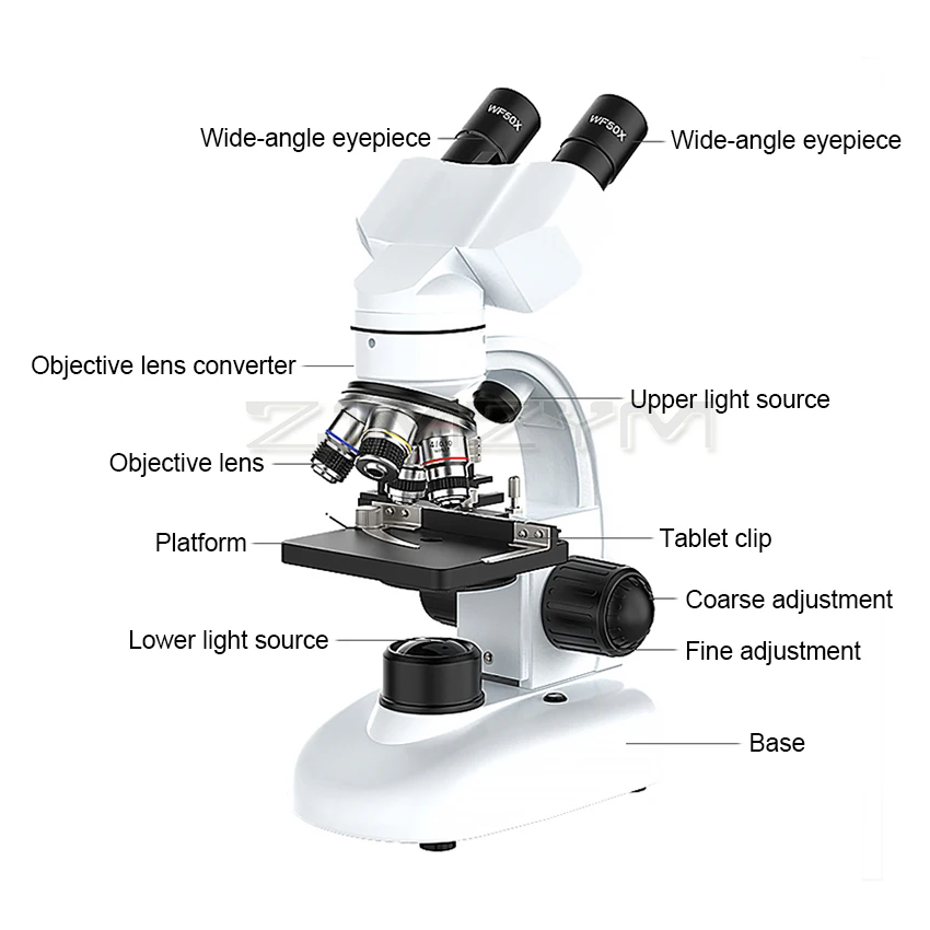 Microscopio biologico HD con zoom 6000X-20000X Microscopio composto da laboratorio digitale a LED con oculari a campo ampio 10X e 50X per laboratorio