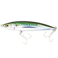 mackerel